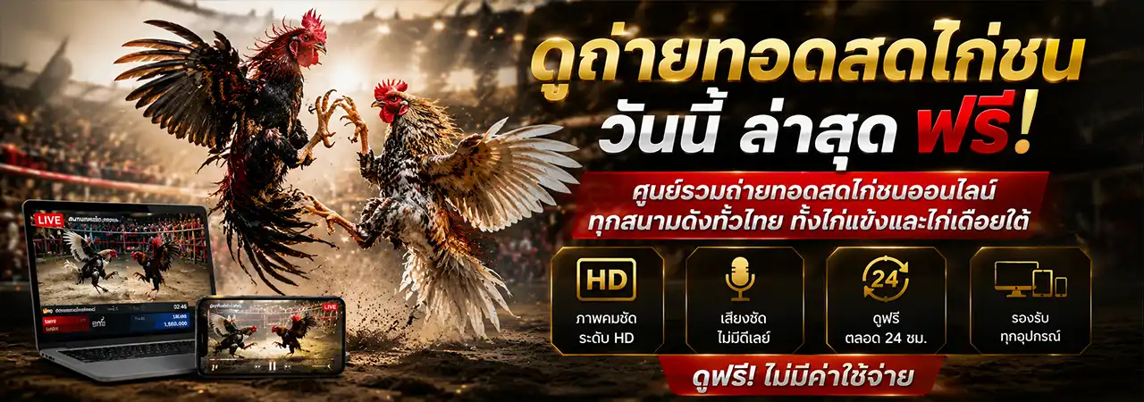 ดูถ่ายทอดสดไก่ชน