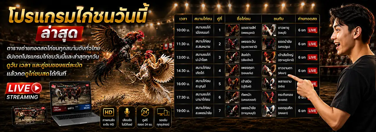 โปรแกรมไก่ชน
