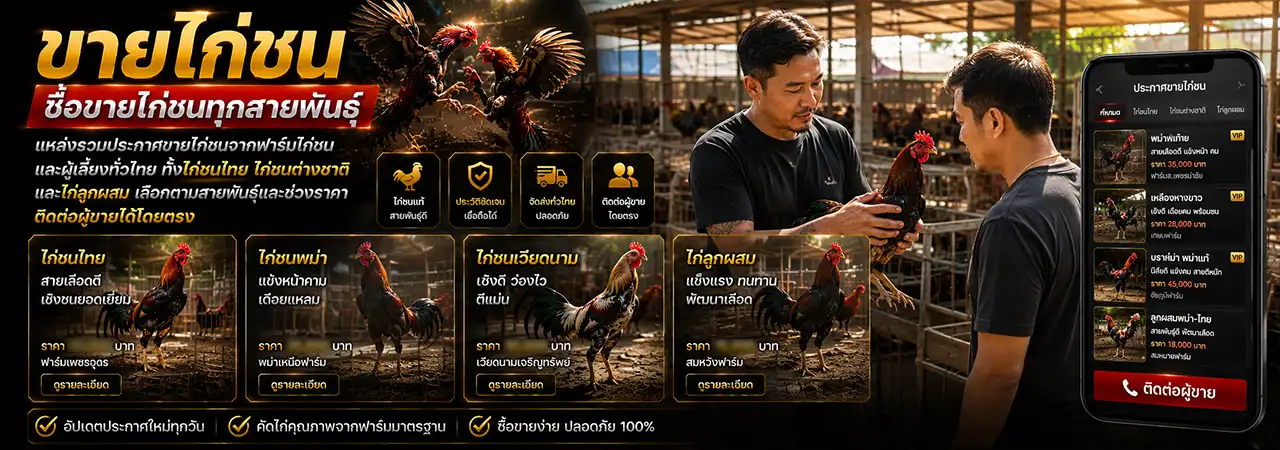 ขายไก่ชน
