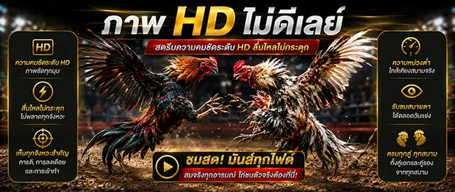 ภาพ HD ไม่ดีเลย์